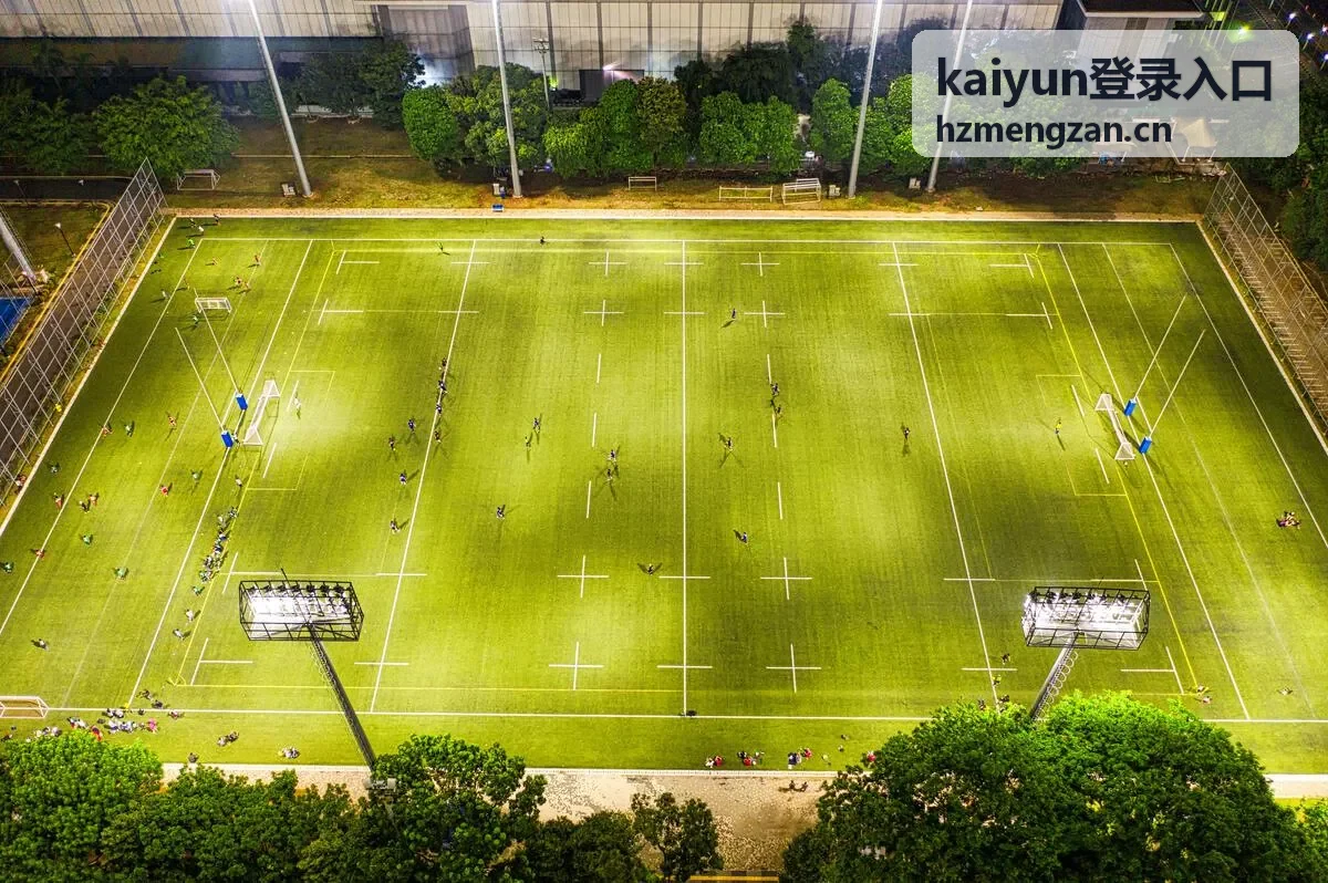 kaiyun登录入口移动端通道使用方法