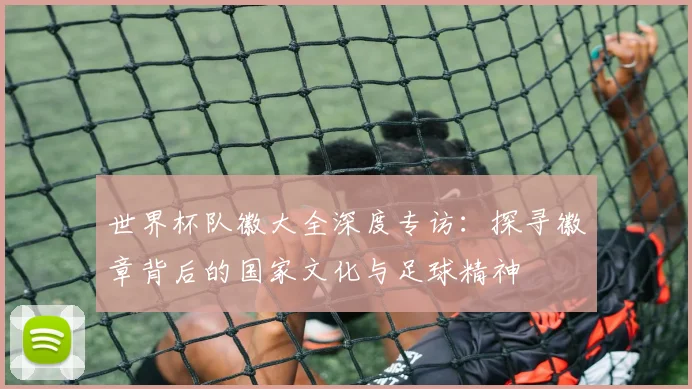 世界杯队徽大全深度专访：探寻徽章背后的国家文化与足球精神